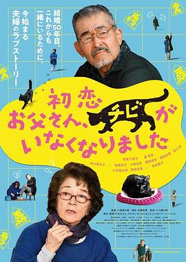 国产aⅴ片